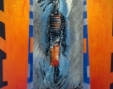 IndiJan 03